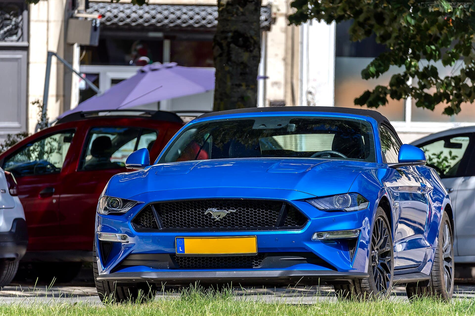 Ford Mustang GT Cabrio — Ford Mustang GT Cabrio – Ansicht 2