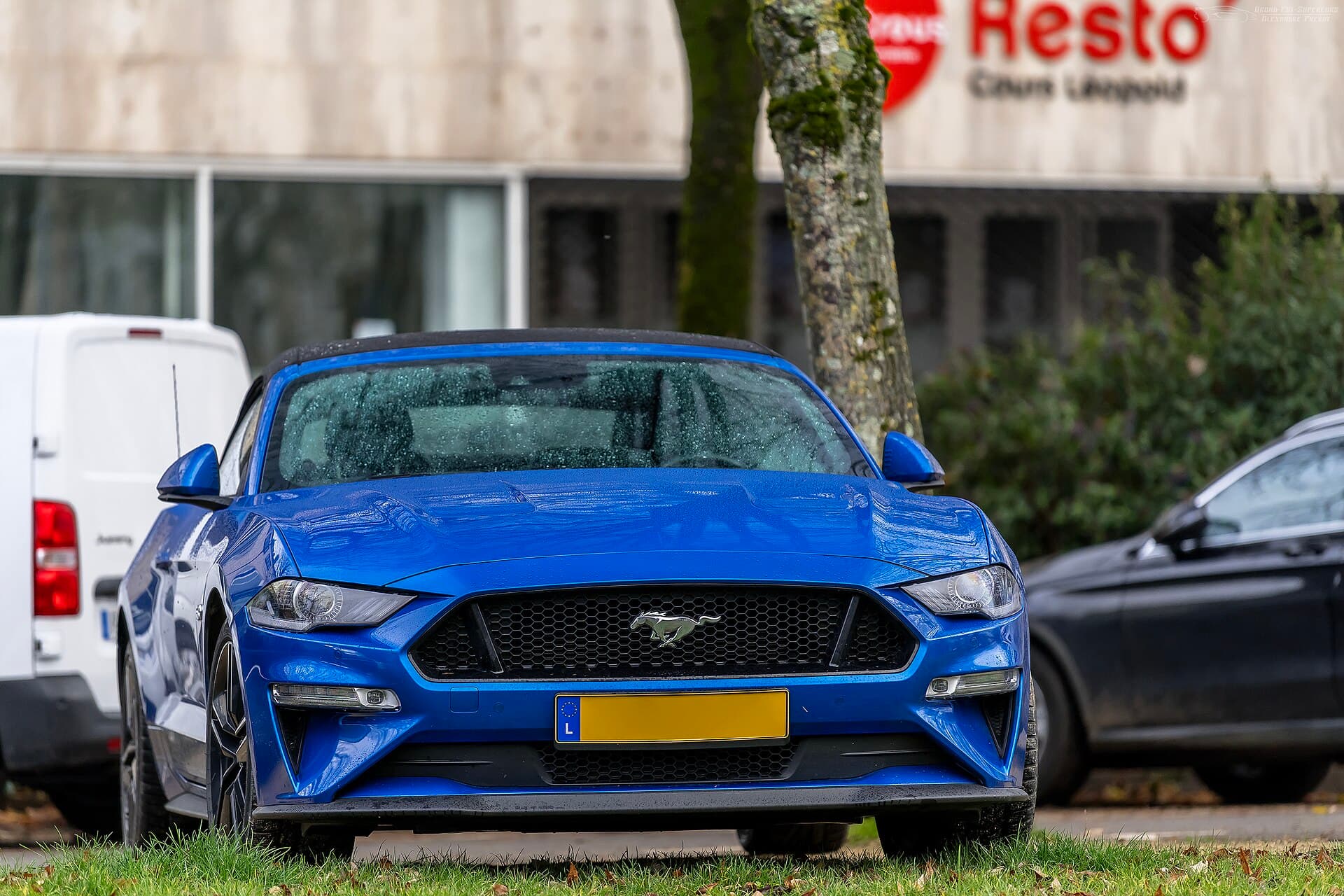 Ford Mustang GT Cabrio — Ford Mustang GT Cabrio – Ansicht 3